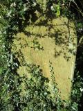 image of grave number 631657